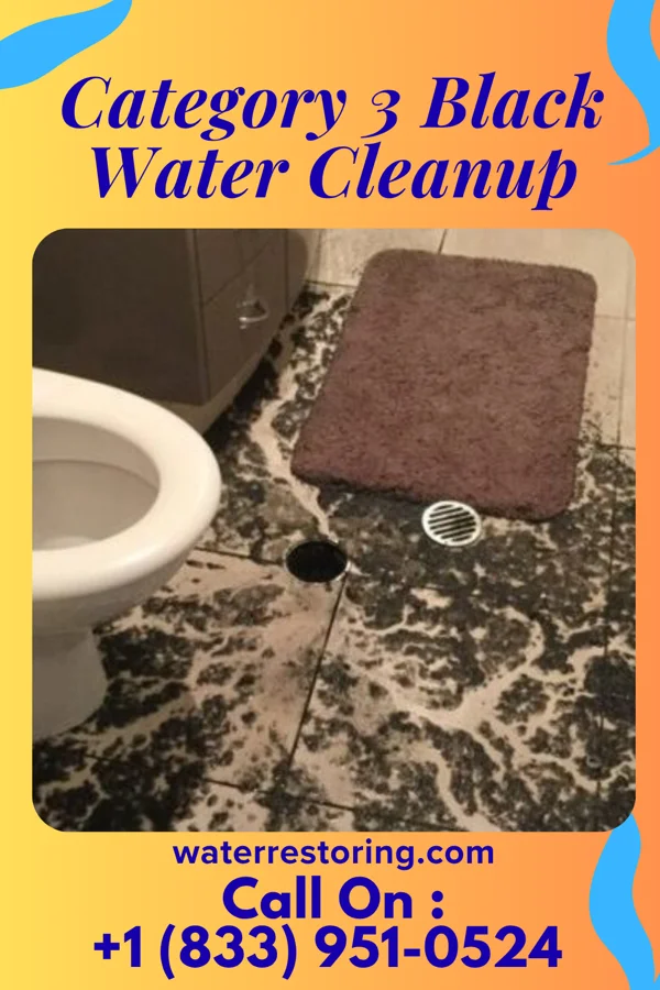 Category 3 Black Water Cleanup in Voltaire, ND
