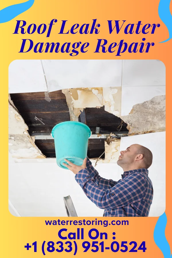 Roof Leak Water Damage Repair in Voltaire, ND